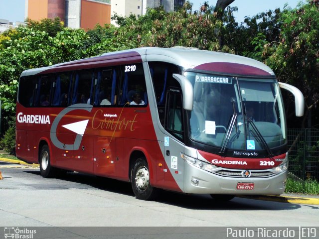 Expresso Gardenia 3210 na cidade de São Paulo, São Paulo, Brasil, por Paulo Ricardo. Número da foto: #778721.