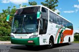 Empresa de Transportes Andorinha 6007 na cidade de Assis, São Paulo, Brasil, por Francisco Ivano. Número da foto: #781045.