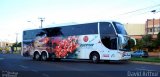 Eucatur - Empresa União Cascavel de Transportes e Turismo 4218 na cidade de Londrina, Paraná, Brasil, por David Arthur. Número da foto: #779278.