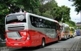 Empresa de Ônibus Pássaro Marron 5312 na cidade de São Paulo, São Paulo, Brasil, por EDUARDO - SOROCABUS. Número da foto: #784234.