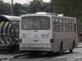 Auto Viação Santo Antônio 18L01 na cidade de Curitiba, Paraná, Brasil, por Herbert Zils. Número da foto: #786980.