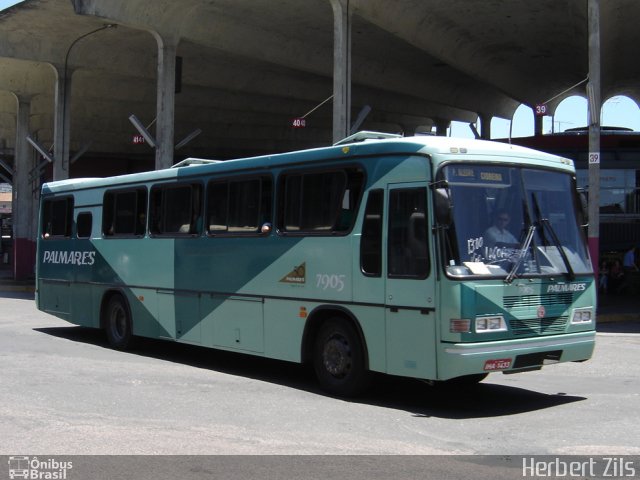 Expresso Palmares 7905 na cidade de Porto Alegre, Rio Grande do Sul, Brasil, por Herbert Zils. Número da foto: #793082.