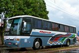 Rosa Turismo 311 na cidade de Paraguaçu Paulista, São Paulo, Brasil, por Francisco Ivano. Número da foto: #794346.