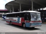 Expresso Vitória de Transportes 190 na cidade de Porto Alegre, Rio Grande do Sul, Brasil, por Herbert Zils. Número da foto: #793188.