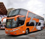 Viação São Raphael 10000 na cidade de São Paulo, São Paulo, Brasil, por EDUARDO - SOROCABUS. Número da foto: #759399.