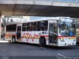 Nortran Transportes Coletivos 6549 na cidade de Porto Alegre, Rio Grande do Sul, Brasil, por Eduardo Machado. Número da foto: #798636.