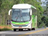 Pássaro Verde 1049 na cidade de Cajuri, Minas Gerais, Brasil, por Julio Cesar Euzebio Alves. Número da foto: #:id.