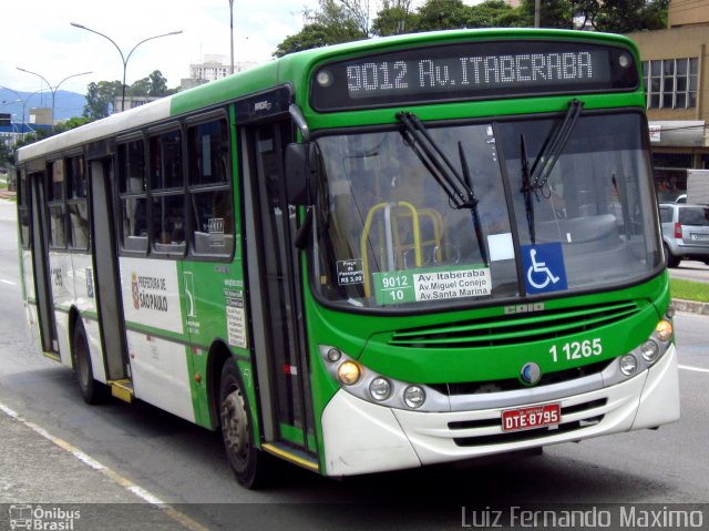 Viação Santa Brígida 1 1265 na cidade de São Paulo, São Paulo, Brasil, por Luiz Fernando Maximo. Número da foto: #802172.