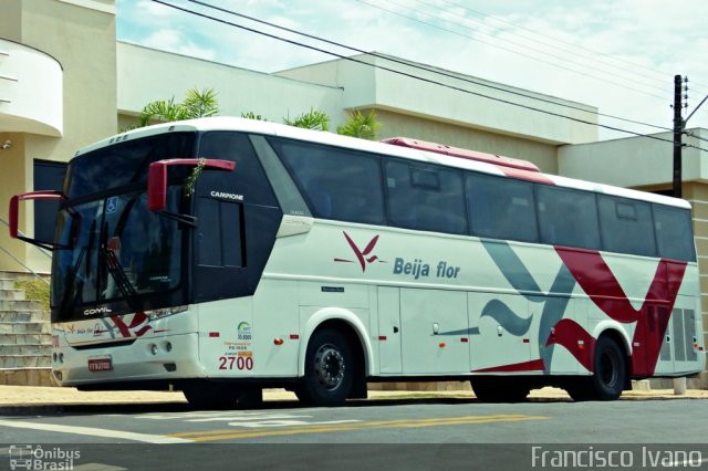 Beija Flor Turismo 2700 na cidade de Ourinhos, São Paulo, Brasil, por Francisco Ivano. Número da foto: #804936.