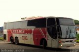 Helios Coletivos e Cargas 1300 na cidade de Uberlândia, Minas Gerais, Brasil, por Guilherme Janoski. Número da foto: #809382.