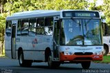 JF Garcia 3070 na cidade de Assis, São Paulo, Brasil, por Francisco Ivano. Número da foto: #811038.