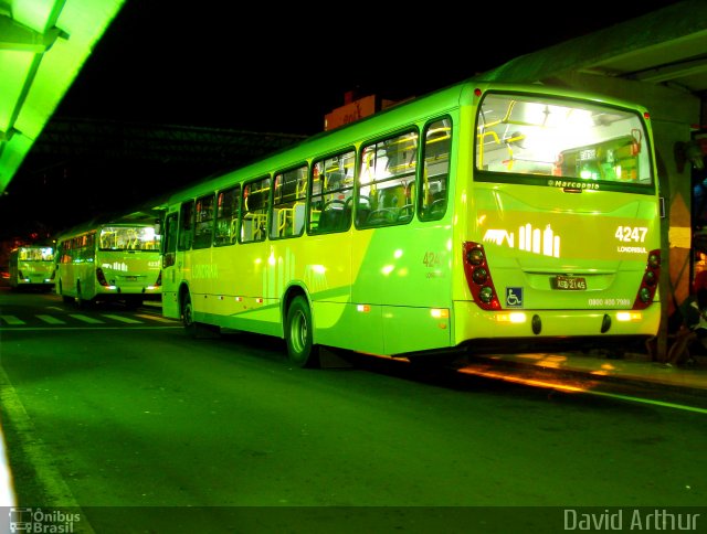 Londrisul Transportes Coletivos 4247 na cidade de Londrina, Paraná, Brasil, por David Arthur. Número da foto: #812742.