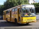 Medianeira Transporte 353 na cidade de Ijuí, Rio Grande do Sul, Brasil, por Herbert Zils. Número da foto: #812473.