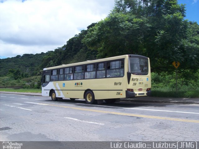 Auto Viação Norte 250 na cidade de Juiz de Fora, Minas Gerais, Brasil, por Luiz Krolman. ID da foto: 815311.