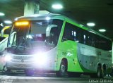 Transbrasiliana Transportes e Turismo 51025 na cidade de Belo Horizonte, Minas Gerais, Brasil, por César Ônibus. Número da foto: #816487.