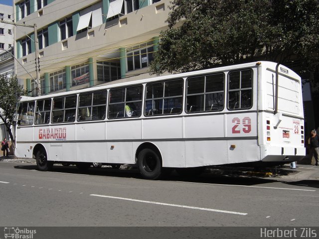 Gabardo Transportes 29 na cidade de Santa Maria, Rio Grande do Sul, Brasil, por Herbert Zils. ID da foto: 820855.