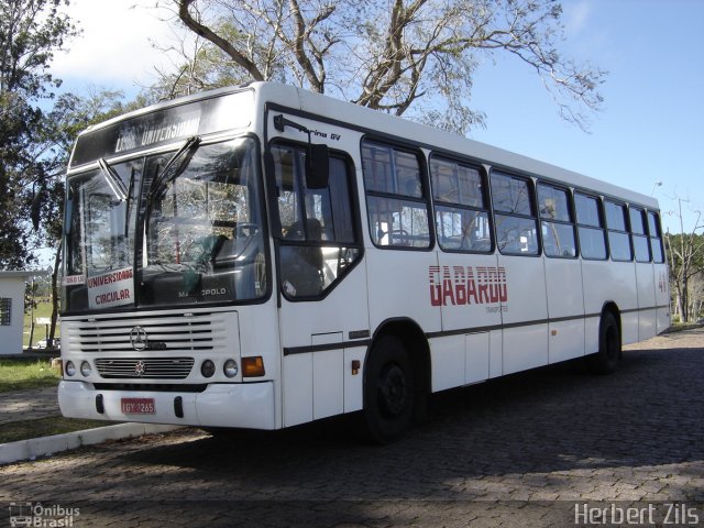 Gabardo Transportes 41 na cidade de Santa Maria, Rio Grande do Sul, Brasil, por Herbert Zils. ID da foto: 820819.