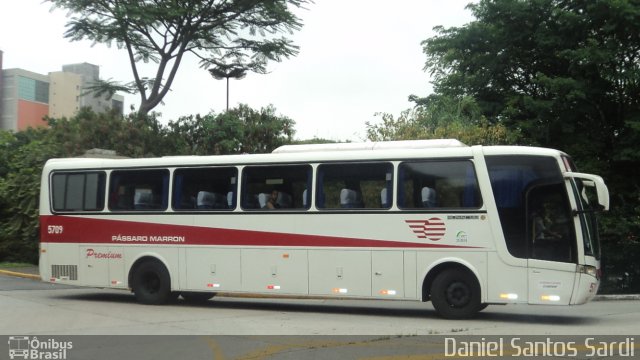 Empresa de Ônibus Pássaro Marron 5709 na cidade de São Paulo, São Paulo, Brasil, por Daniel Santos Sardi. Número da foto: #821425.