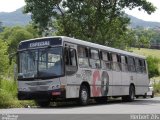 Viação Centro Oeste 50 na cidade de Santa Maria, Rio Grande do Sul, Brasil, por Herbert Zils. Número da foto: #820800.