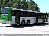 Viação Santa Brígida 1 1862 na cidade de São Paulo, São Paulo, Brasil, por Nerilton F.  ônibus. Número da foto: #766368.