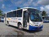 Trampolim da Vitória 501 na cidade de Parnamirim, Rio Grande do Norte, Brasil, por Helckton Fernandes Pimentel. Número da foto: #:id.