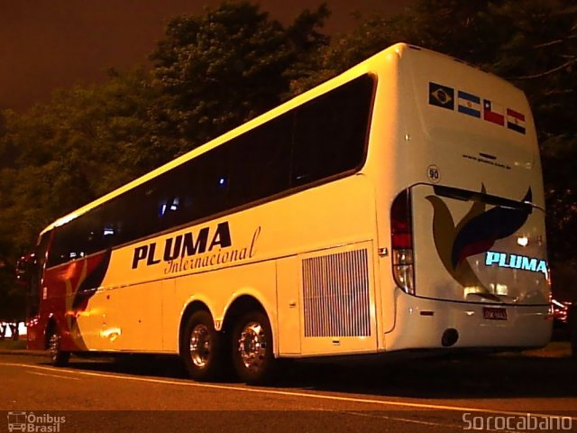 Pluma Conforto e Turismo 4204 na cidade de Curitiba, Paraná, Brasil, por Elias  Junior. Número da foto: #772474.