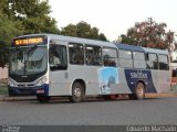 Stadtbus Bagé 443 na cidade de Bagé, Rio Grande do Sul, Brasil, por Eduardo Machado. Número da foto: #771695.