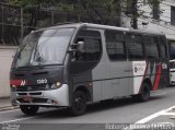 EAOSA - Empresa Auto Ônibus Santo André 1300 na cidade de São Paulo, São Paulo, Brasil, por Roberto Teixeira. Número da foto: #772292.