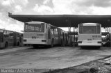 TCB - Sociedade de Transportes Coletivos de Brasília 04995 na cidade de Brasília, Distrito Federal, Brasil, por Clébio Júnior. ID da foto: :id.