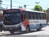 Viação Sul Fluminense RJ 202.027 na cidade de Volta Redonda, Rio de Janeiro, Brasil, por Geraldo Magela. Número da foto: #:id.