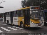 Cooperativa de Transportes Alternativos Nova Aliança 3 4043 na cidade de São Paulo, São Paulo, Brasil, por Roberto Teixeira. Número da foto: #774128.