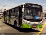 Viação Pirajuçara 867 na cidade de Taboão da Serra, São Paulo, Brasil, por Nerilton F.  ônibus. Número da foto: #1334280.
