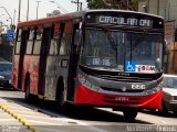 Viação Fervima 666 na cidade de Taboão da Serra, São Paulo, Brasil, por Nerilton F.  ônibus. Número da foto: #1334273.