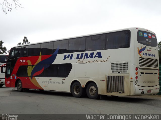 Pluma Conforto e Turismo 7014 na cidade de Curitiba, Paraná, Brasil, por Wagner Domingos Ivanesken. Número da foto: #1337403.