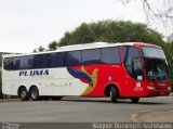Pluma Conforto e Turismo 4934 na cidade de Curitiba, Paraná, Brasil, por Wagner Domingos Ivanesken. Número da foto: #1337433.
