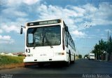 CTA - Companhia Tróleibus Araraquara 43 na cidade de Araraquara, São Paulo, Brasil, por Antonio Marcos Roque. Número da foto: #1337791.