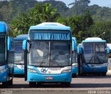 Auto Viação Progresso 6019 na cidade de Recife, Pernambuco, Brasil, por Almir Correia. Número da foto: #:id.