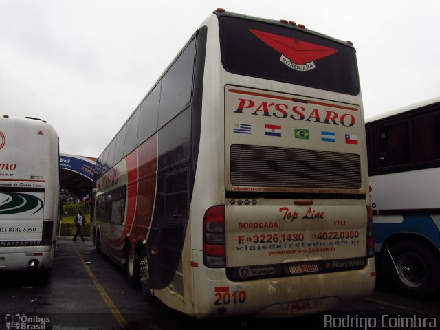 Pássaro Prata Transportadora Turística 2010 na cidade de Aparecida, São Paulo, Brasil, por Rodrigo Coimbra. Número da foto: #1353076.