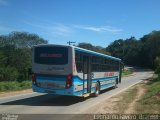 Empresa de Ônibus Vila Elvio 7300 na cidade de Ibiúna, São Paulo, Brasil, por Leonardo Fávero  Brandet. Número da foto: #1318262.
