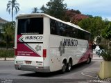 Hibisco Turismo 1000 na cidade de Petrópolis, Rio de Janeiro, Brasil, por Lucas Passos. Número da foto: #1354528.