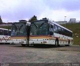 Nortran Transportes Coletivos 6534 na cidade de Porto Alegre, Rio Grande do Sul, Brasil, por Denis Júnior. Número da foto: #:id.