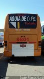 Águia de Ouro Turismo 9801 na cidade de Aparecida, São Paulo, Brasil, por Daniel Santos Sardi. Número da foto: #1357546.