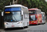 Auto Viação Catarinense 2452 na cidade de Curitiba, Paraná, Brasil, por Reginaldo Levinski da Silva. Número da foto: #1360960.