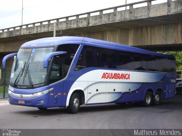 Viação Águia Branca 24260 na cidade de Vitória, Espírito Santo, Brasil, por Matheus Mendes. Número da foto: #1364724.