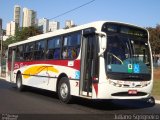 Viação São Bento Ribeirão Preto 5435 na cidade de Ribeirão Preto, São Paulo, Brasil, por Juliano Sgrigneiro. Número da foto: #1363901.