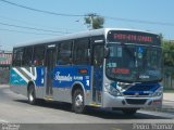 Auto Ônibus Fagundes RJ 101.009 na cidade de Niterói, Rio de Janeiro, Brasil, por Pedro Thomaz. Número da foto: #:id.