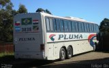 Pluma Conforto e Turismo 3838 na cidade de Cascavel, Paraná, Brasil, por Felipe  Dn. Número da foto: #:id.
