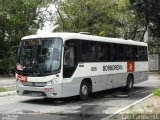 Borborema Imperial Transportes 806 na cidade de Recife, Pernambuco, Brasil, por Luiz Carlos de Santana. Número da foto: #1370858.