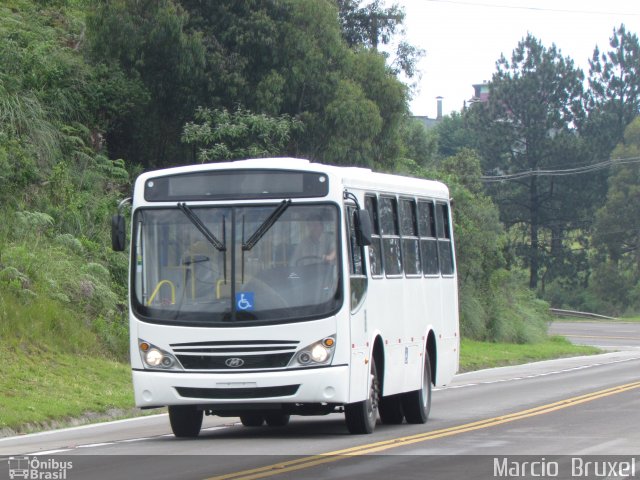 Maxibus MAXIBUS DOLPHIN na cidade de Caxias do Sul, Rio Grande do Sul, Brasil, por Marcio  Bruxel. Número da foto: #1372485.