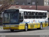 Trevo Transportes Coletivos 1066 na cidade de Porto Alegre, Rio Grande do Sul, Brasil, por Herbert Zils. Número da foto: #1319892.